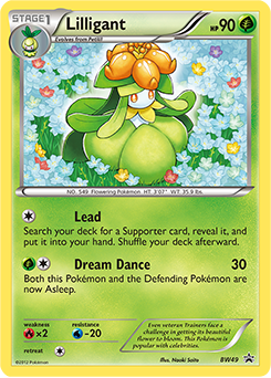 Lilligant BW49<br/>Naoki Saito