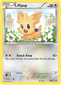 Lillipup BW52<br/>Mizue