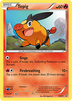 Tepig BW07<br/>Shin Nagasawa
