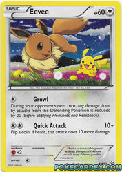 Eevee BW97<br/>Akira Komayama