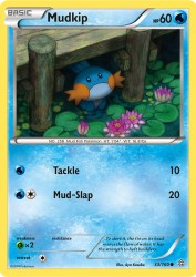 Mudkip 33/160<br/>Aya Kusube