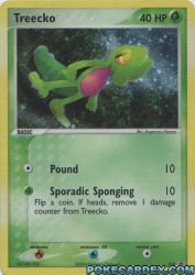Treecko 16/40<br/>Kagemaru Himeno