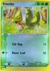 Treecko 3/40<br/>Atsuko Nishida