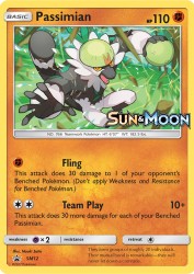 Passimian SM12<br/>Naoki Saito