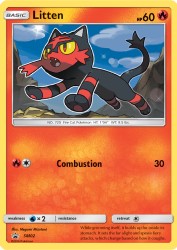 Litten SM02<br/>Megumi Mizutani