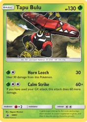 Tapu Bulu SM61<br/>Megumi Mizutani