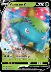 Venusaur-V SWSH100<br/>aky CG Works