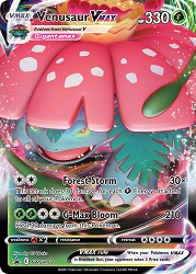 Venusaur-VMAX SWSH102<br/>aky CG Works