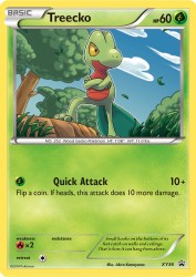 Treecko XY36<br/>Akira Komayama