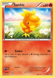 Torchic XY37<br/>sui