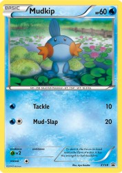 Mudkip XY38<br/>Aya Kusube