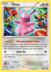 Ditto XY40<br/>5ban Graphics