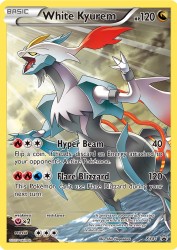White Kyurem XY81<br/>Shin Nagasawa