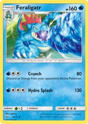 Feraligatr 20/73<br/>nagimiso