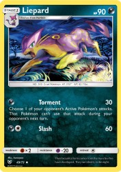 Liepard 49/73<br/>kawayoo