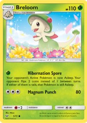 Breloom 5/73<br/>Mizue