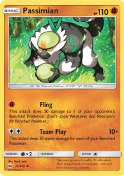 Passimian 73/149<br/>Naoki Saito