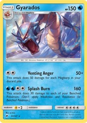 Gyarados 33/147<br/>so-taro