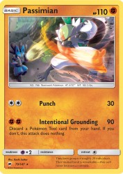 Passimian 79/147<br/>Kouki Saitou