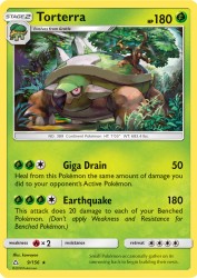 Torterra 9/156<br/>kawayoo
