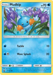 Mudkip 33/168<br/>Misa Tsutsui