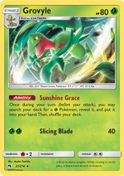 Grovyle 21/214<br/>Ayaka Yoshida