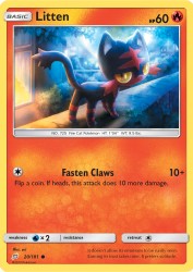 Litten 20/181<br/>sui