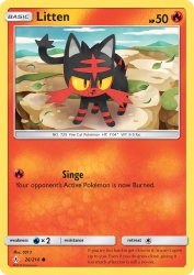 Litten 26/214<br/>0313