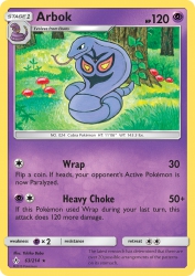 Arbok 63/214<br/>Yukiko Baba