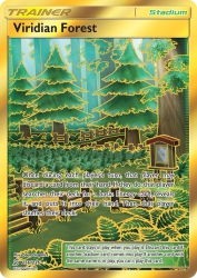 Viridian Forest 256/236<br/>5ban Graphics