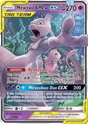 Mewtwo & Mew-GX 71/236<br/>Mitsuhiro Arita