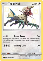 Type: Null SV45<br/>Shin Nagasawa