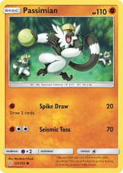 Passimian 125/236<br/>Masakazu Fukuda