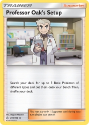 Professor Oak's Setup 201/236<br/>Megumi Mizutani