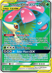 Venusaur & Snivy-GX 210/236<br/>5ban Graphics