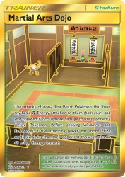 Martial Arts Dojo 268/236<br/>5ban Graphics