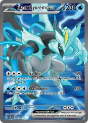 Black Kyurem ex 218/191<br/>N-DESIGN Inc.