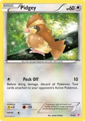 Pidgey 11/30<br/>Atsuko Nishida