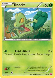 Treecko 24/30<br/>Akira Komayama