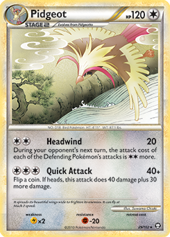 Pidgeot 29/102<br/>Suwama Chiaki