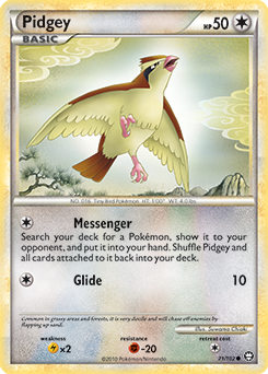 Pidgey 71/102<br/>Suwama Chiaki