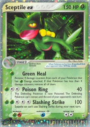 Sceptile ex 93/95<br/>Hikaru Koike