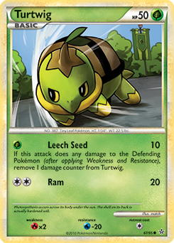 Turtwig 67/95<br/>match