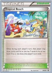 Tropical Beach (The Truth Fire) BW28<br/>Naoki Saito
