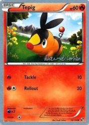 Tepig (Twinboar) 15/114<br/>Kouki Saitou