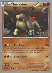 Terrakion (Terraki-Mewtwo) 73/101<br/>5ban Graphics