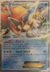 Keldeo-EX (American Gothic) 49/149<br/>Toyste Beach