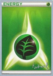 Grass Energy (Emerald King) -<br/>—