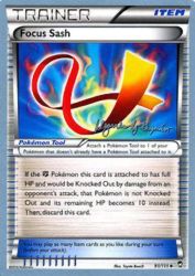 Focus Sash (Primal Groudon) 91/111<br/>Toyste Beach