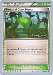 Forest of Giant Plants (Bebe Deck) 74/98<br/>Ryo Ueda